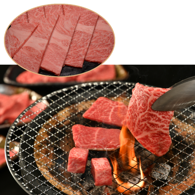 松阪牛焼肉用（肩ロース）