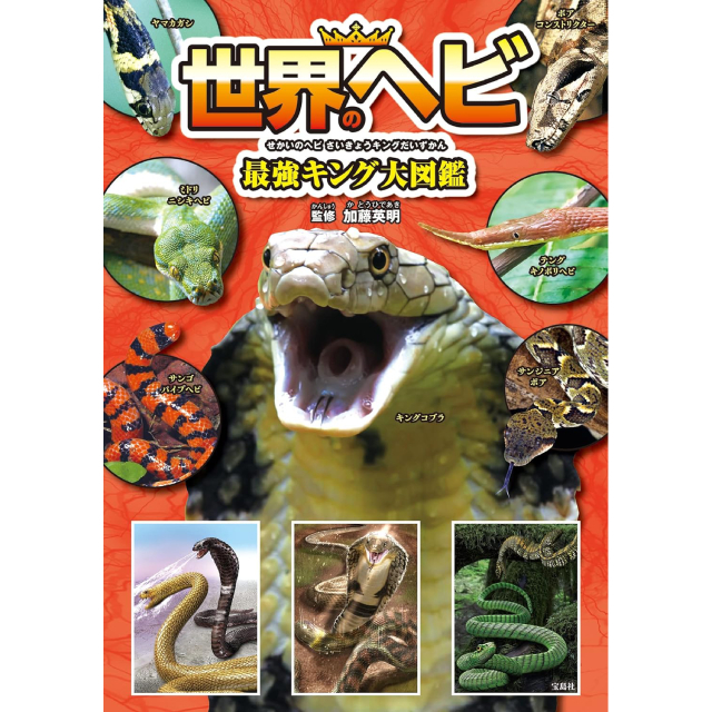 ◇世界のヘビ最強キング大図鑑